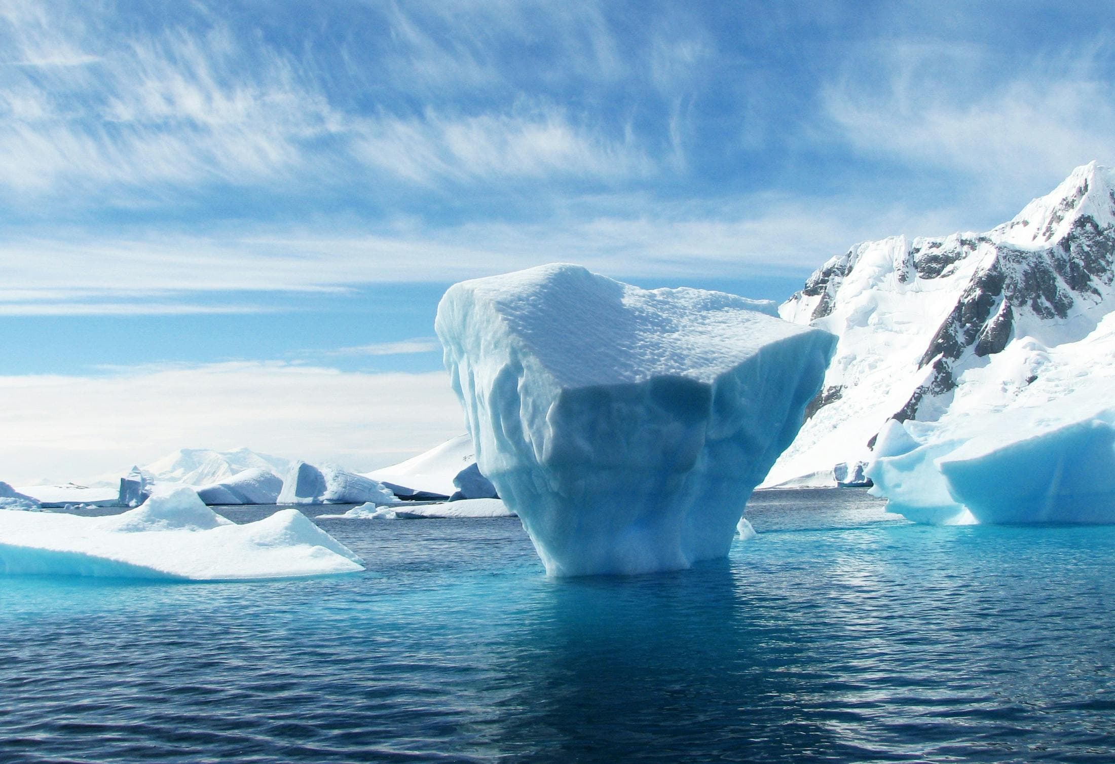 Planet Earth, live - photograph 2