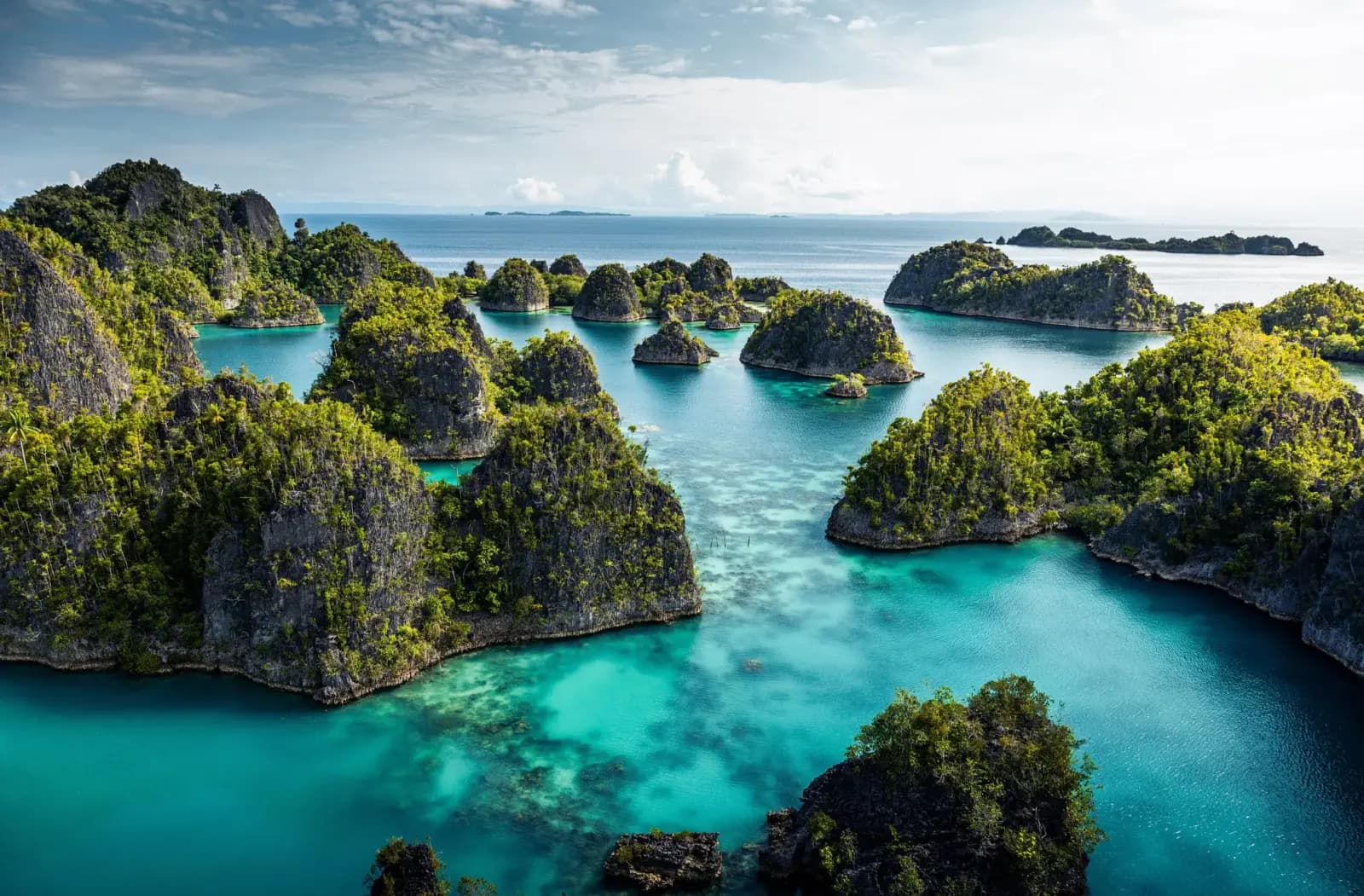 Idyllic Raja Ampat & Cenderawasih Bay