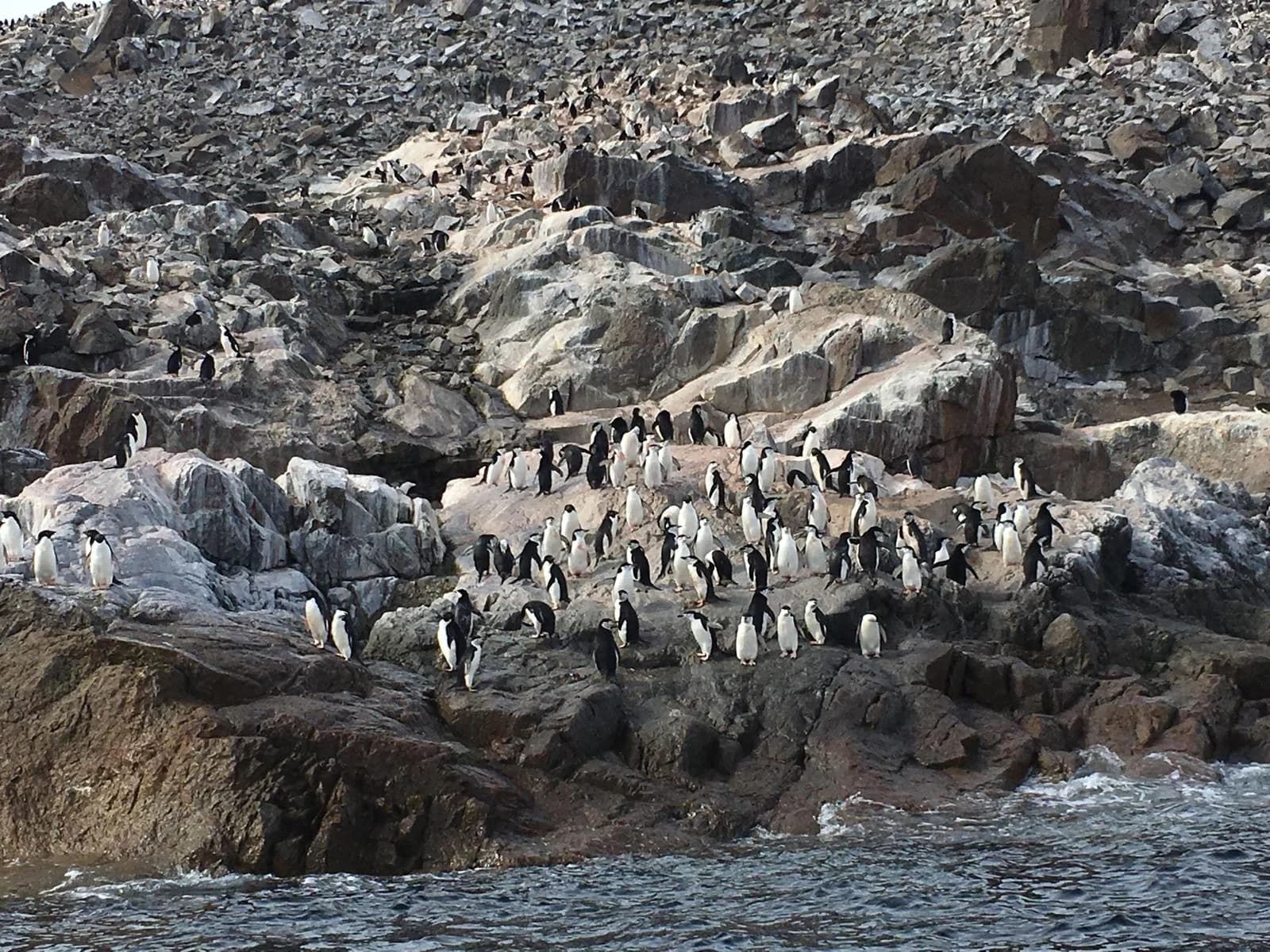 Planet Earth, live - photograph 1