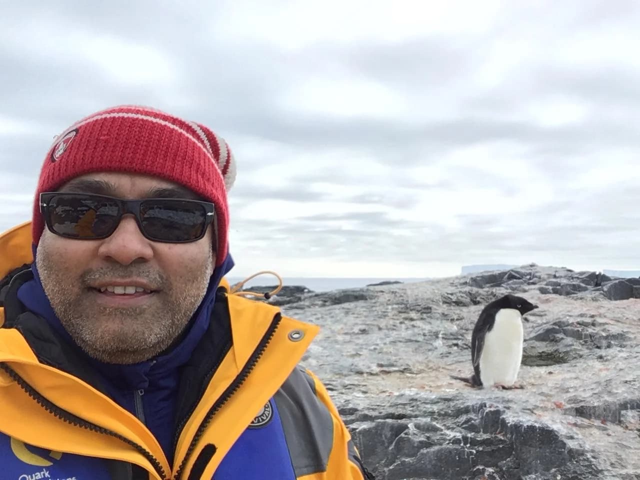 An unhurried introduction to a penguin